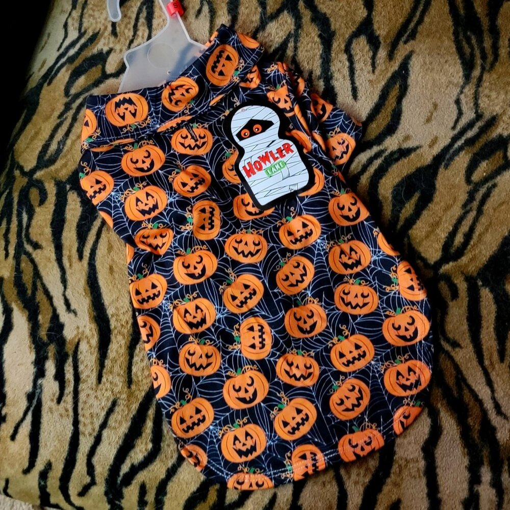 Pet Collard Tee Dog Or Cat Pumpkins Halloween sz sm New!